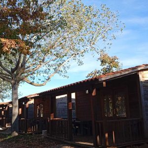 WhatsApp Image 2025-10-28 at 16.27.44