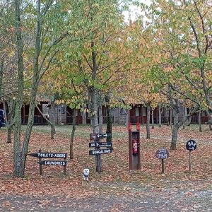 WhatsApp Image 2025-11-09 at 18.31.58 (1)